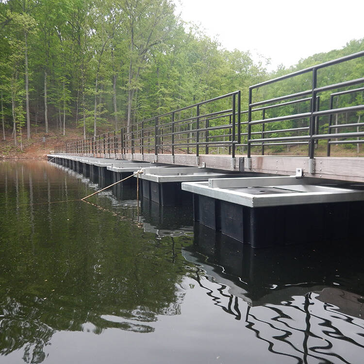 Floating Bridge at Site