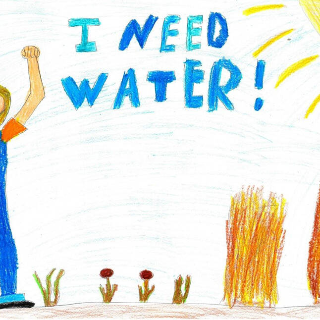 shily deberry grade 4 winner 2016