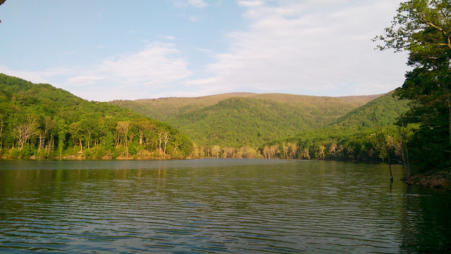 Sugar Hollow in Summer web