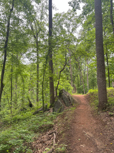 An image of a trail path at the Ragged Mountain Reservoir
